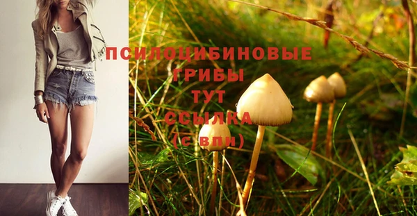 мдпв Арсеньев